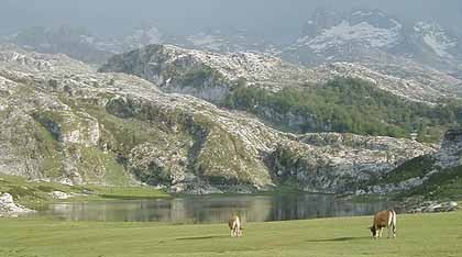 La imagen de la semana: los lagos de Covadonga en los Picos de Europa