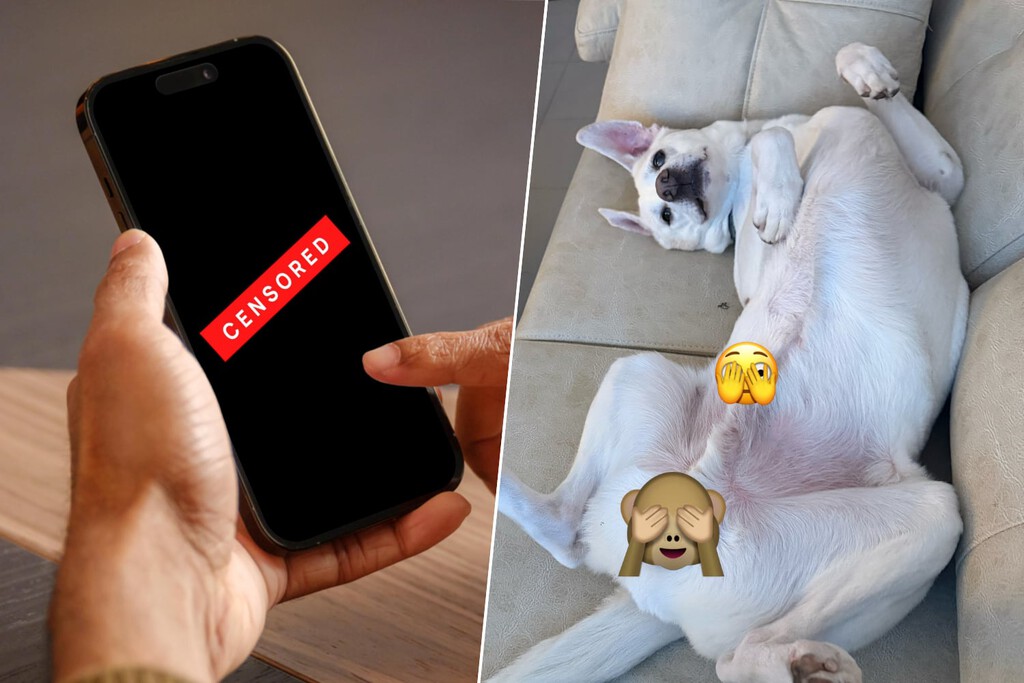 Te llega un mensaje, el iPhone lo difumina por ser contenido explícito y te esperas lo peor. Al final solo era un perro 