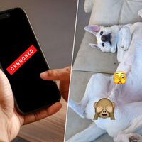 La teoría dice que Apple quiere protegernos de fotos de desnudos no deseados. La realidad es que censura fotos de perros