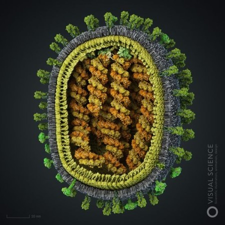Recreación tridimensional del virus de la gripe