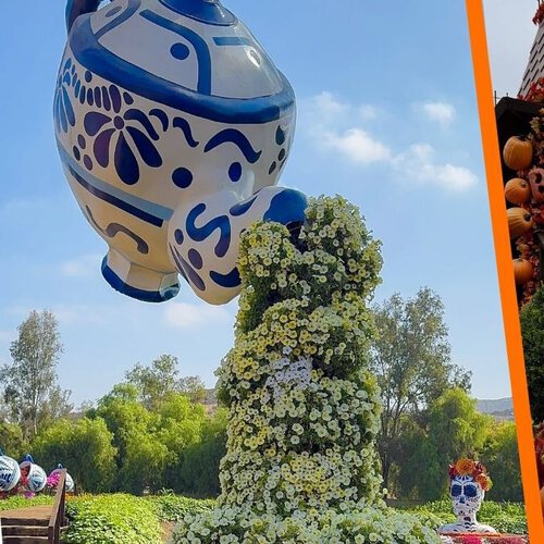 Ruta del Maíz en Tijuana: empieza la temporada de calabazas y Día de Muertos en jardines que parecen de Alicia en el País de las Maravillas