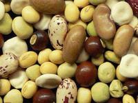 Las legumbres en la alimentación infantil