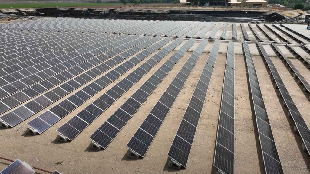 Pensábamos que producir aceite de oliva y energía en el mismo sitio era una utopía. 5.150 paneles en España tienen la solución: el secreto está en la altura