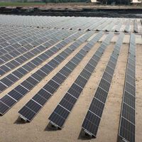 Pensábamos que producir aceite de oliva y energía en el mismo sitio era una utopía. 5.150 paneles en España tienen la solución: el secreto está en la altura