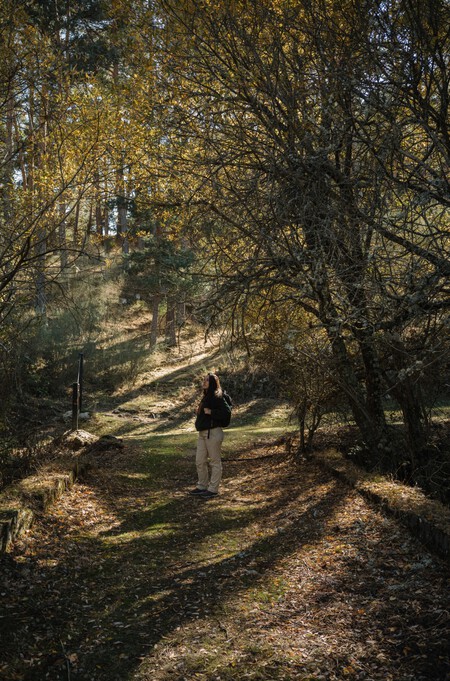 Ruta De Senderismo Cerca De Madrid 7