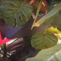 Misterio italiano: una Aprilia Tuareg 660 estaba escondida en Milán, y será la próxima moto trail de Noale