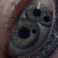 En 5 días llegará a HBO Max en México una de las mejores películas de terror de la década: la grotesca obra que revivió la carrera de Demi Moore