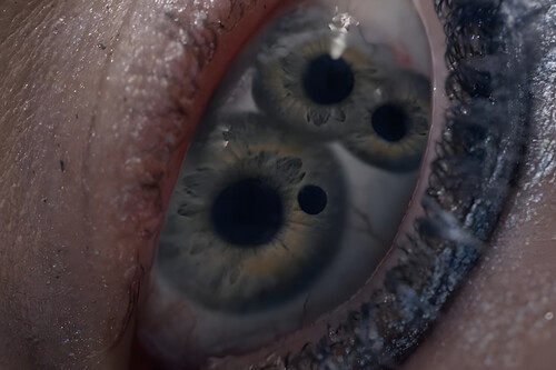 C18eb31d 2914 472e Aa4d 16b887d05d54