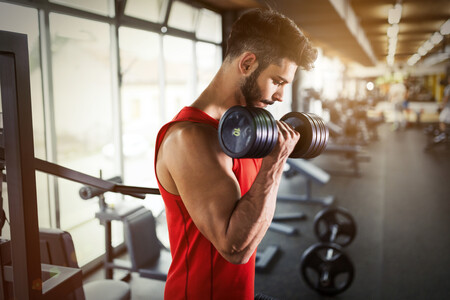 Novato en el gimnasio: ¿es mejor entrenar fuerza o hipertrofia?