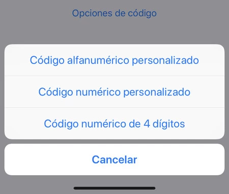 コードオプション