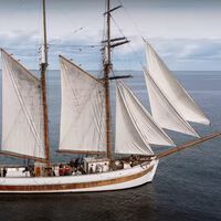 El futuro era esto: si queríamos un transporte marítimo sostenible, hay que volver a los barcos de vela