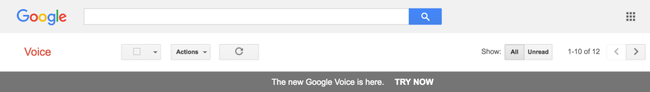 Google Voice Banner