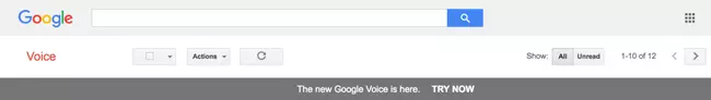 Google Voice Banner
