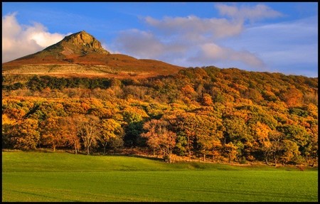 yorkshire