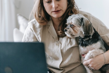 Mujer frente a un portátil sujeta a su perrito.