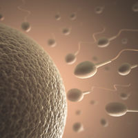 La primera inyección anticonceptiva para hombres podría estar disponible para su venta en unos meses