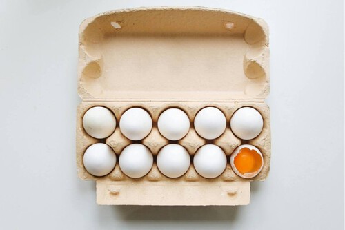 Copia De Plantilla 1200x900