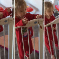 La increíble habilidad de una niña de dos años para abrir una barrera de seguridad... ¡con un collar!