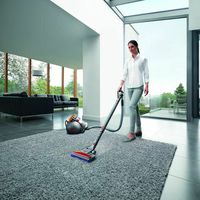 Aspiradora sin cables tradicional Dyson Big Ball Allegy 2 en oferta hoy por 197 euros en eBay utizando el código PARATUCASA