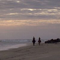 Últimos días para ver en Netflix una cita ineludible con el cine romántico. Un clásico moderno e insuperable con un Ryan Gosling magnético 