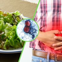 La FDA corrigió la prueba contra la lechuga mexicana, pero el brote de diarrea en EE.UU. sigue sin un origen confirmado
