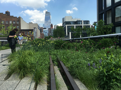 El High Line Elevated Park de Nueva York y el arte moderno 