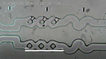 Silicon Valley Busca Salvar La Fertilidad Masculina Al Puro Estilo De La F1 Haciendo Competencias De Esperma En Pistas Miniatura