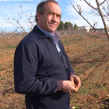 De invertir 6.000 euros a ganar 650.000 euros al año : el boom del pistacho para agricultores como Juan José 