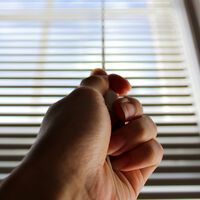 Las expertas en limpieza coinciden: "la correa de la persiana también hay que limpiarla, y esta mezcla la deja como nueva" 