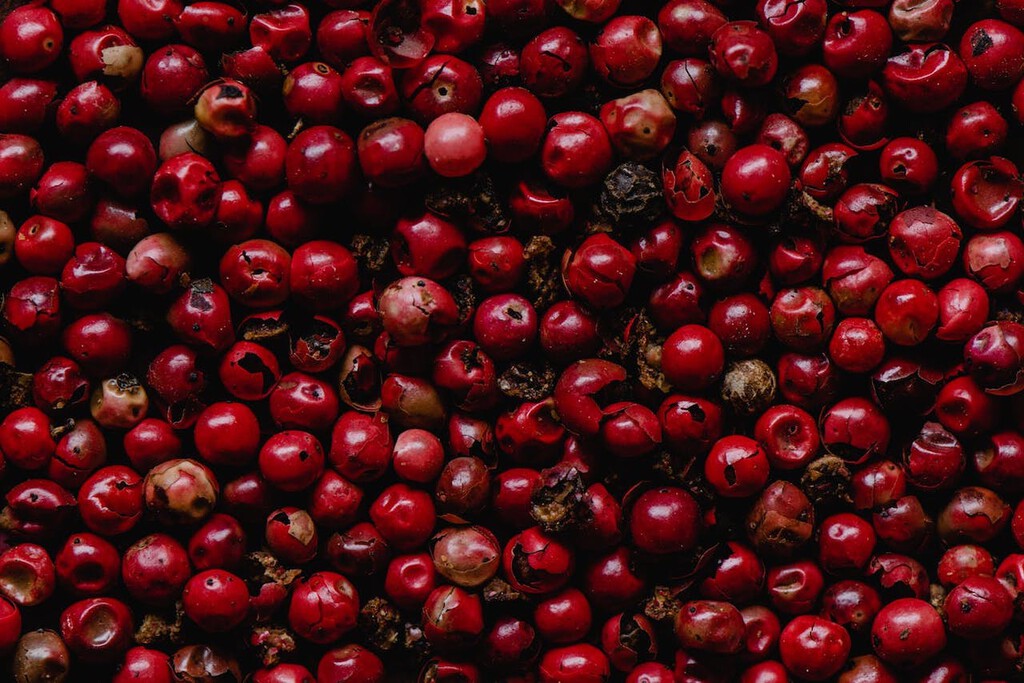 Beneficios del arándano para la salud: superalimento antioxidante, producto de exportación de México para el mundo