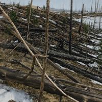 El bólido de Tunguska: la brutal explosión de 12 megatones que en 1908 nos puso frente a los horrores del espacio 