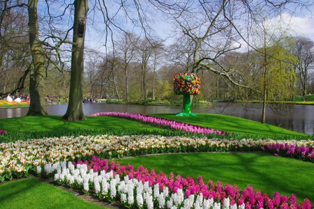Keukenhof 5136576 1920