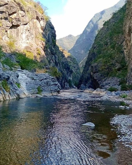Guanajuato