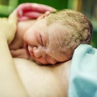 Los padres de una bebé que se cayó al suelo durante el parto son indemnizados con (solo) 47.000 euros