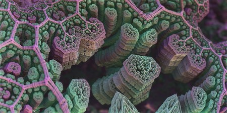 Estas misteriosas estructuras han sido descubiertas en una bacteria