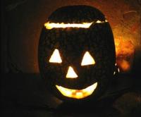 El tipo de interés legal del dinero para el 2.009