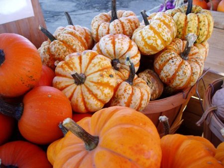 La calabaza también es fuente de potasio