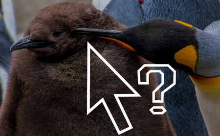 Las seis distribuciones Linux más peculiares de 2020