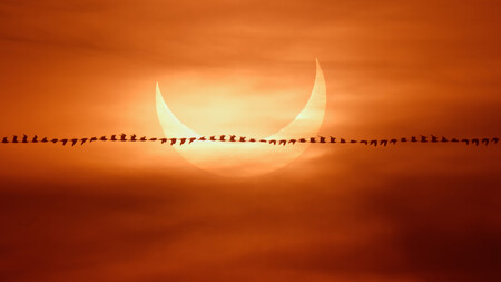 Así se hizo la foto de una gaviota que pasa volando por delante del espectacular eclipse solar y que ha sido destacada por la NASA
