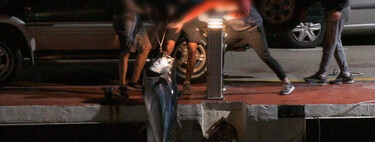 La Guardia Civil detiene a cuatro policías nacionales en una acción contra la pesca furtiva y venta ilegal de atún rojo en Málaga 