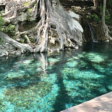 El secreto mejor guardado de Morelos: escápate a Las Tortugas, un oasis natural con aguas termales