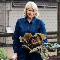 Martha Stewart, aos 84 anos: "Caminho bastante, três vezes por semana faço sessões de Pilates de 45 minutos e duas vezes por semana uso halteres e aparelhos; uso praticamente os mesmos pesos de sempre, então estou muito forte" 