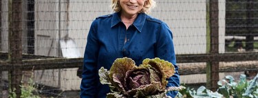 Martha Stewart, aos 84 anos: "Caminho bastante, três vezes por semana faço sessões de Pilates de 45 minutos e duas vezes por semana uso halteres e aparelhos; uso praticamente os mesmos pesos de sempre, então estou muito forte" 