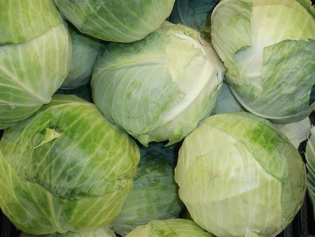 Col: propiedades, beneficios y su uso en la cocina