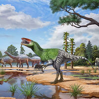 Descubren una nueva especie de dinosaurio a partir de un fósil hallado en la isla de Wight 