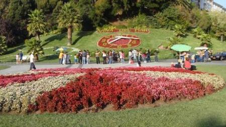 Zona Reloj de Flores