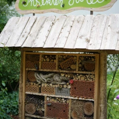 Foto 13 de 16 de la galería muestras-fe-50mm-f1-4-za en Xataka Foto