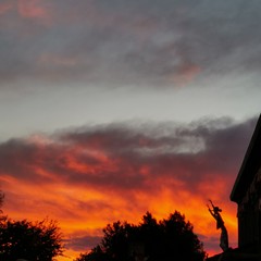 Foto 12 de 45 de la galería fotos-mate-20-mes-de-uso en Xataka