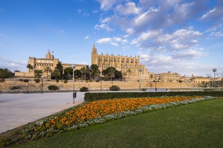 Anthony Mark Burrell Catedral De Palma