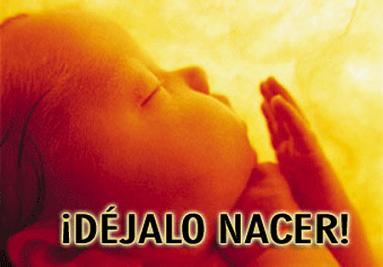 No a la petición de reforma de la Ley del Aborto